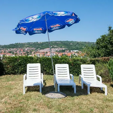 Solmar, With Big Terrace Near Nature