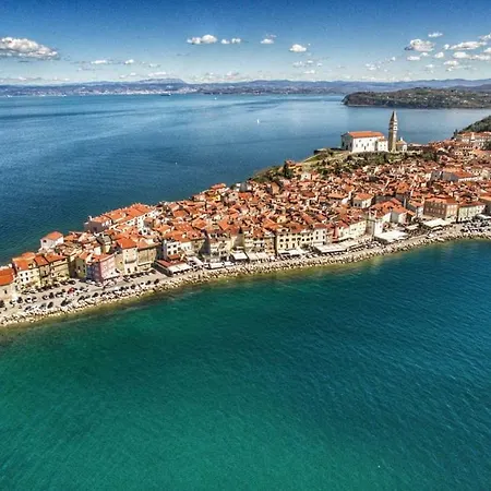 Solmar, With Big Terrace Near Nature