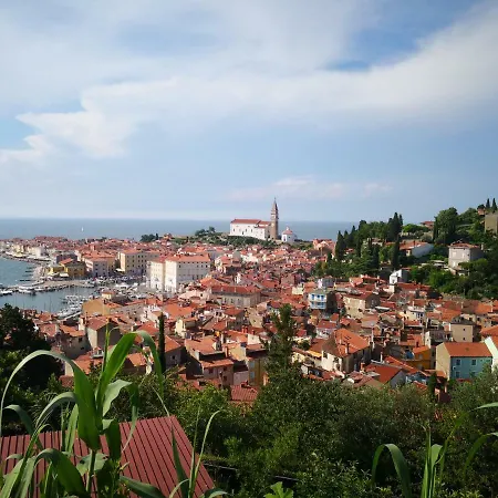 Solmar, With Big Terrace Near Nature Apartman