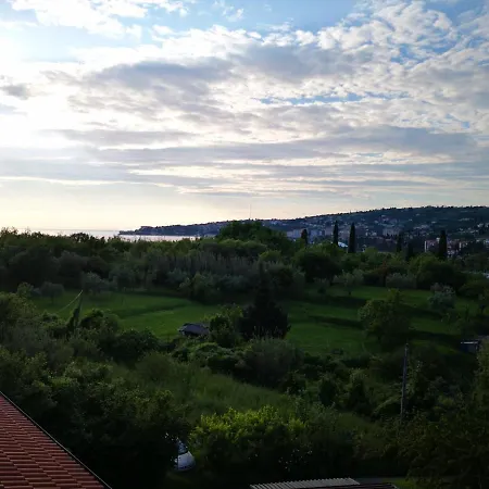 Solmar, With Big Terrace Near Nature