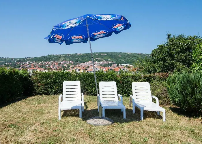 Solmar, With Big Terrace Near Nature