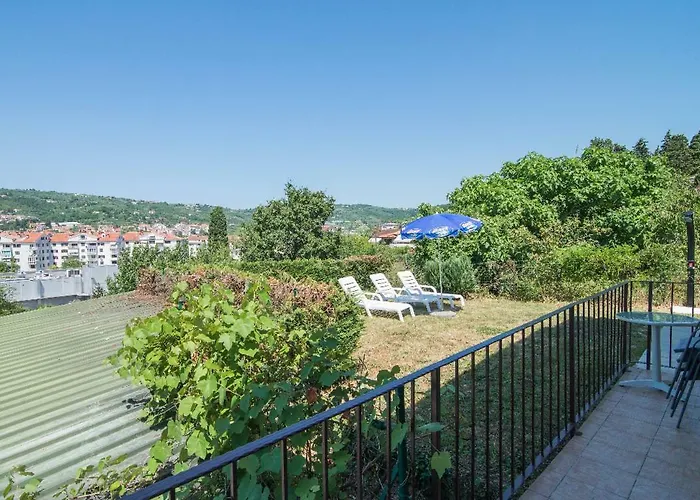 Solmar, With Big Terrace Near Nature *