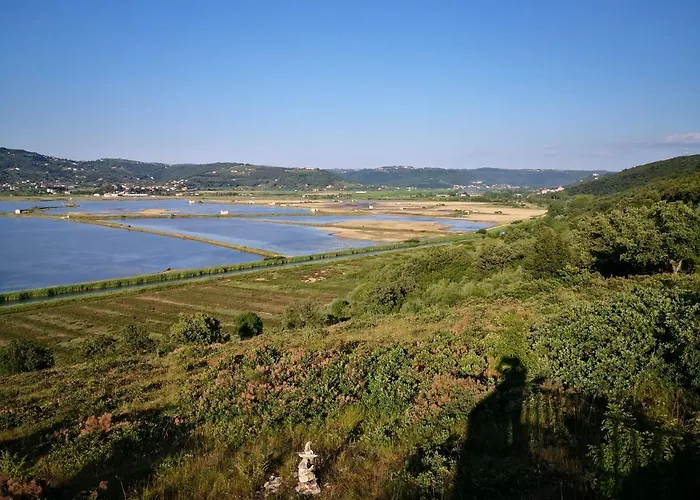 Appartement Solmar, With Big Terrace Near Nature Portorož