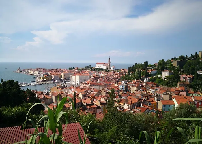 Solmar, With Big Terrace Near Nature Appartement