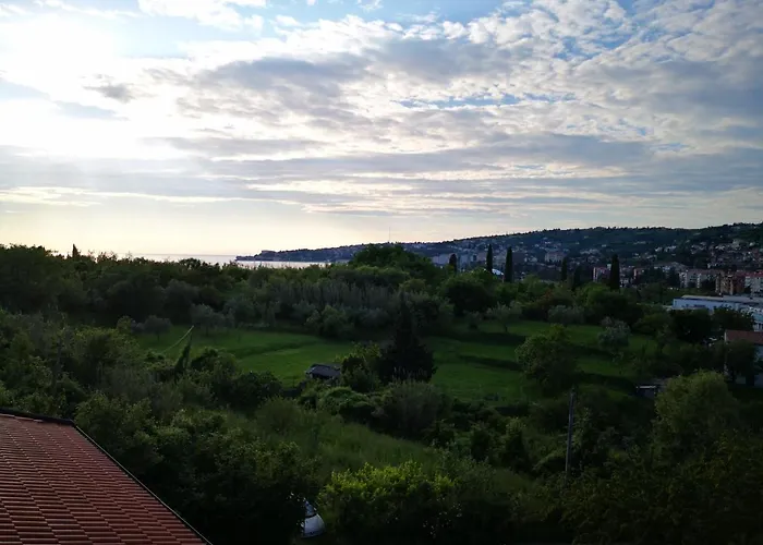 Solmar, With Big Terrace Near Nature